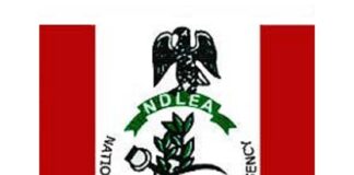 NDLEA