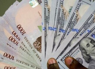 Naira rises to N1,455/$ in parallel market Naira