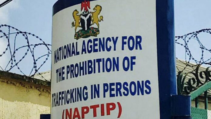 National Agency for the Prohibition of Trafficking in Persons NAPTIP NAPTIP