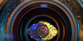 BBNaija: The race has begun! Meet the 11 female housemates— plus a sneak peek of the first task!