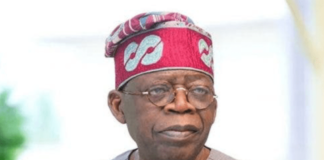 Tinubu and Festus Adedayo’s Bloody Night of Long knives Omobolanle , inubu