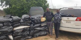 In one fell swoop, NDLEA recovers 8,268kg of cocaine, heroin, skunk in 7 states