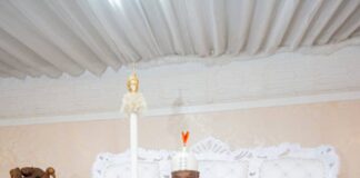 Fight against human trafficking: South-West Diaspora group honours Ooni of Ife