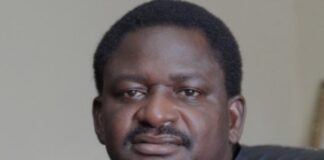 Lori Iro: The evil that lie merchants do Adesina , Buhari