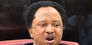 Shehu Sani challenges INEC to name polling units where elections ‘ll not hold Emefiele, Shehu