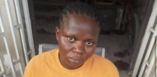 Outrage as NDLEA arrests pregnant woman with 1,441kg imported skunk in Lagos