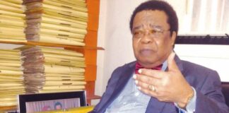South Africa just proved it’s Nigeria’s enemy number one with BRICS – Bolaji Akinyemi Bolaji