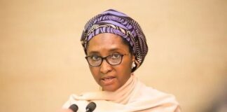 Subsidy: FG borrowing to import fuel, says minister fuel, digital approach