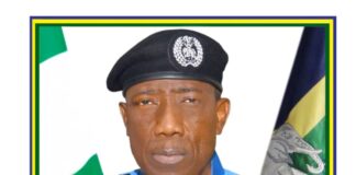 IGP orders posting of DIG Johnson Kokumo as DIG FCID