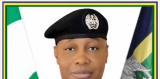 IGP orders posting of senior police officers Â