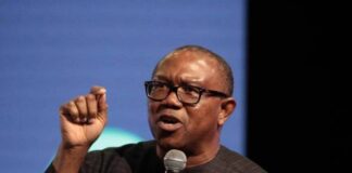 Nigerians in Diasporas plan to raise $150m, N100bn for Peter Obi’s campaign Peter Obi