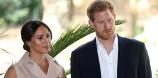 Revealed: Prince Andrew leaks Prince Harry, Meghan Markle’s relationship to press Meghan