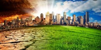 Climate change to adversely affect learning – Report