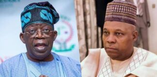 Finally, Tinubu picks ex-Gov Kashim Shettima as running mate Court