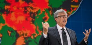 BREAKDOWN: Gates Foundation commits fresh $1.27bn to food security, healthcare Gates