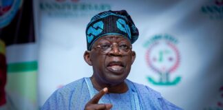 Naja’atu , brain-drain, Tinubu , Court , Afenifere