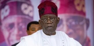 Bello, schoolgirl, Tinubu