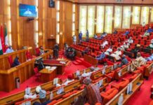 Senators kick against selective withdrawal of police orderlies plenary , Senate, budget , Dangote