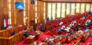 plenary , Senate, budget , Dangote
