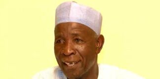 Galadima’s Primitive Jive, By Wole Olaoye Galadima