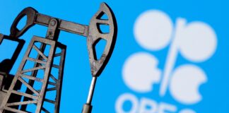 OPEC replaces EIA, Rystad Energy with new data sources for oil production monitoring OPEC+