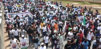 Joke Silva, Obidients and social media regulation