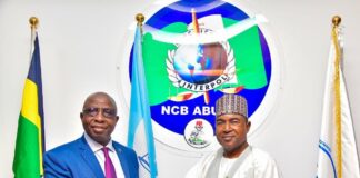 NDLEA, Interpol sign MoU on access to global criminal data records