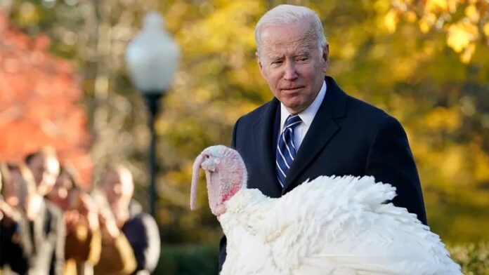 Biden pardons two turkeys Biden