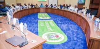 Insecurity coming to an end as 36 Govs submit positions on State Police Governors, NGF