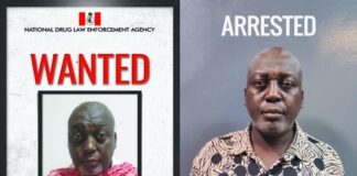 NDLEA goes tough against illicit drugs, arrests wanted drug baron in Lagos NDLEA