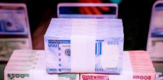 Nigeria fails global money laundering review at FATF plenary scarcity, Zulum, withdrawal limit , Emefiele