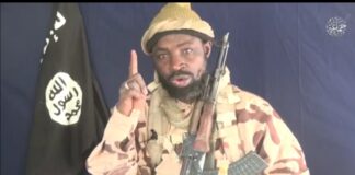 Shekau