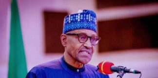 civilian rule, prepared, oil theft, Buhari, Soludo