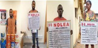 NDLEA intensifies war against drugs trafficking, intercepts illicit drugs in baby foods, beverages at Lagos Airport NDLEA