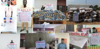Surprise as NDLEA intercepts Christmas Colorado, cannabis juice at Lagos airport, seaport NDLEA