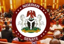 ICPC, Senate, Onochie