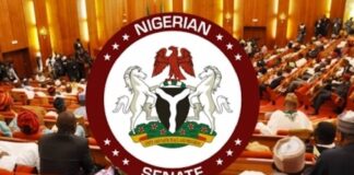 Senate confirms Idris Olorunnimbe as chairman NCC board ICPC, Senate, Onochie