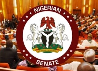 ICPC, Senate, Onochie