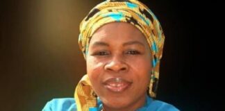 Coups: Of political quagmire and diarchy, By Zainab Suleiman Okino