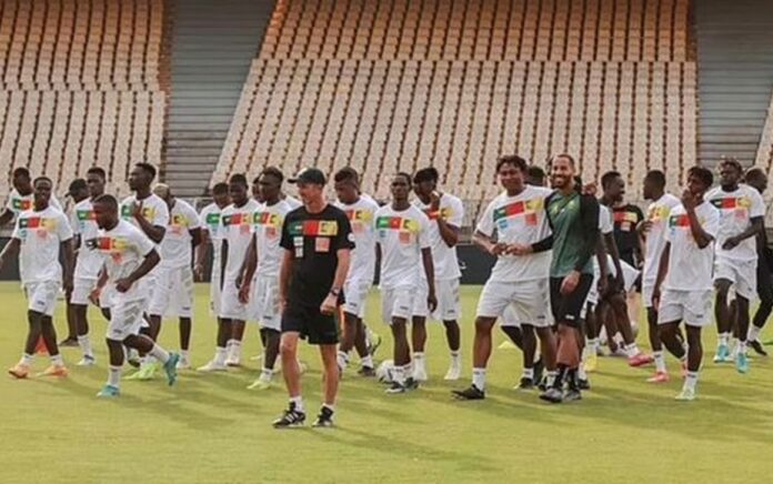 Cameroon U-17 squad players