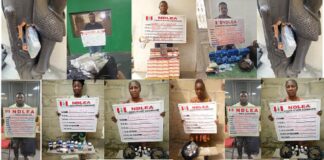 NDLEA intercepts illicit drugs in wooden statue, imported vehicle NDLEA
