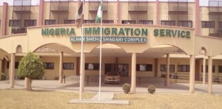 APPLY: Immigration begins recruitment for artisans, doctors, pharmacists Immigration