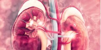 Kidney damage is real — Watch out for 7 red flags to stay alive Delaying