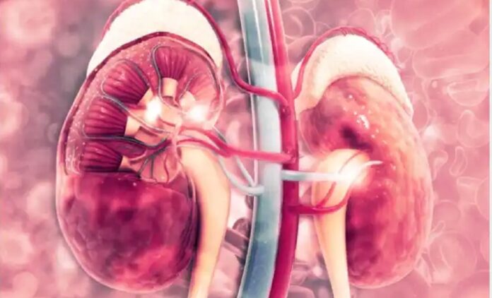 kidney Delaying
