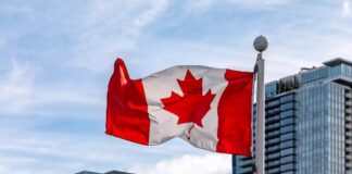 Canadian companies licensed to sell cocaine Canadian