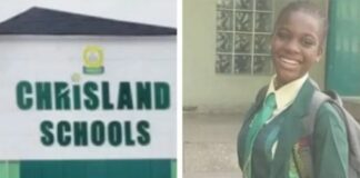 Chrisland