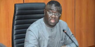 FG has committed N291bn for census – Minister Budget