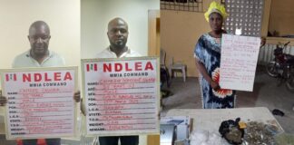 NDLEA arrests businessman, intercepts cocaine, meth going to Vietnam, Brazil, Italy NDLEA