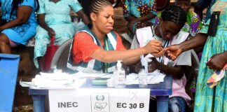 election, suit , observers