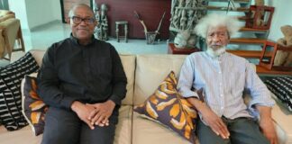 Soyinka, Obidients